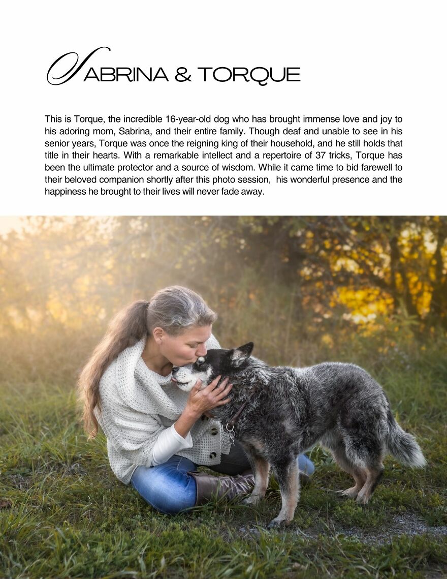 Celebrating Dogs & Their Humans