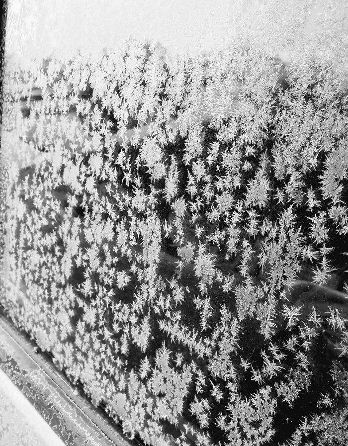 Ice Crystals On The Car Window (No B&w Filter!)