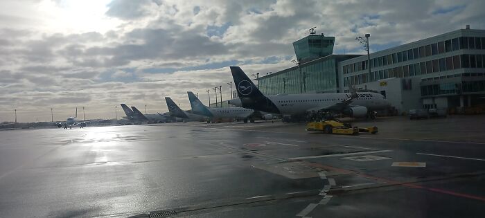 All Lined Up For Morning Flights