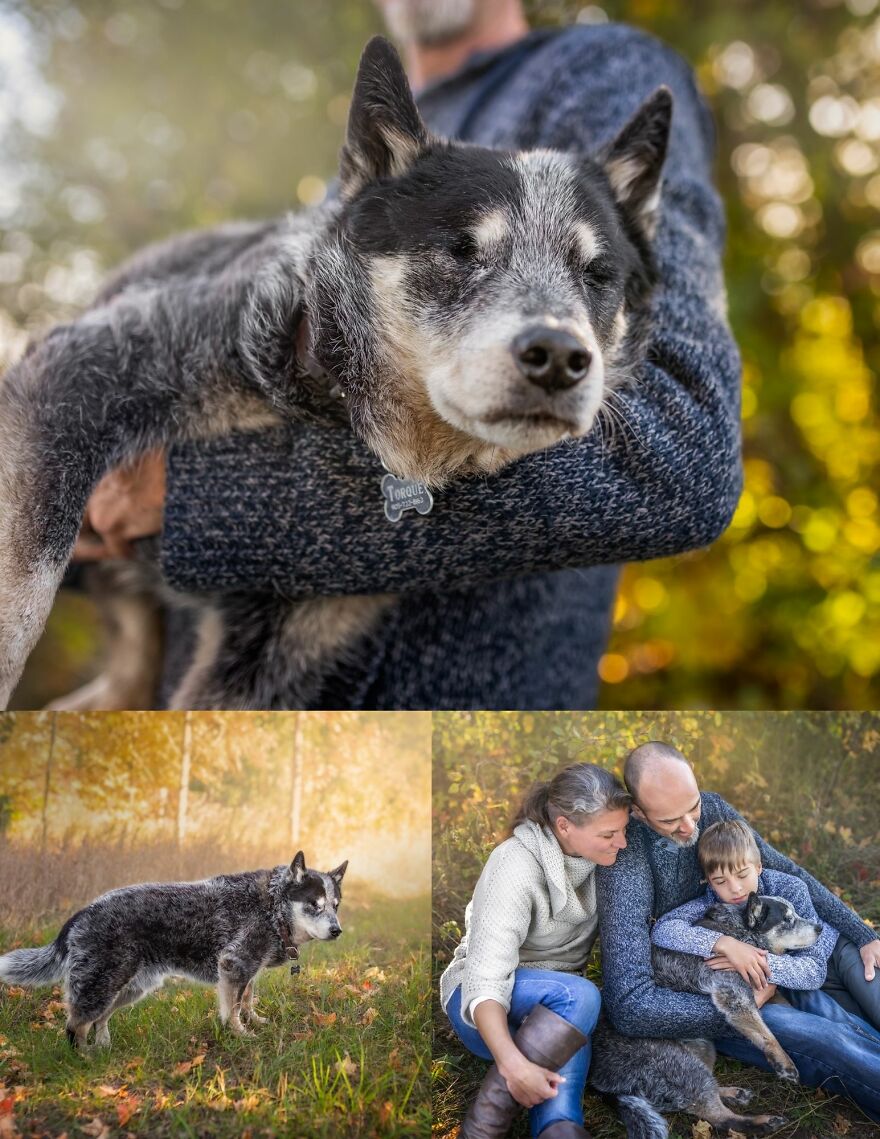 Celebrating Dogs & Their Humans