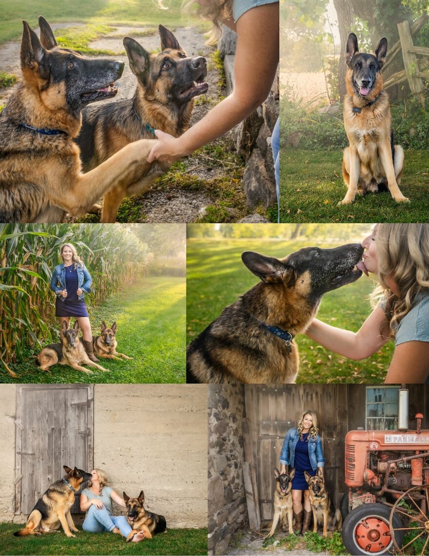 Celebrating Dogs & Their Humans