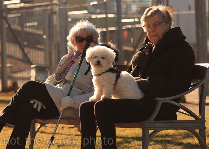 Siblings Wiped From Mom’s Will After Failing To Visit Her, Pets To Inherit $2.8 Million Fortune Siblings Wiped From Mom’s Will After Failing To Visit Her, Pets To Inherit $2.8 Million Fortune