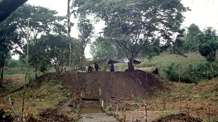 Ruins Of City Of Up To 10,000 Uncovered In Depths Of The Amazon Rainforest