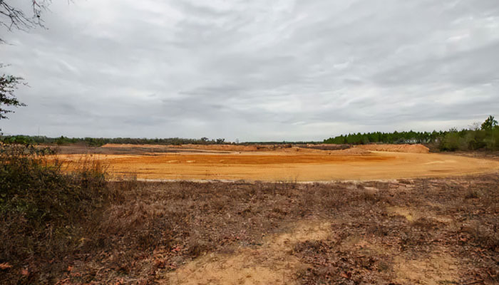 “What If One Gets Out?“: Residents Of Georgia Town Rally Against Farm To House 30,000 Monkeys