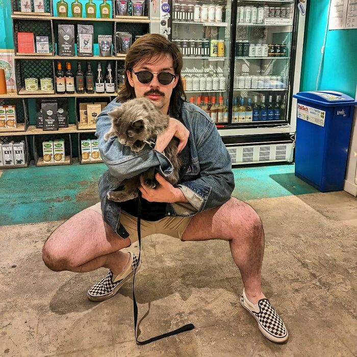 We Capture The Essence Of NYC Through Cute And Funny Photos Of Bodega Cats We Capture The Essence Of NYC Through Cute And Funny Photos Of Bodega Cats