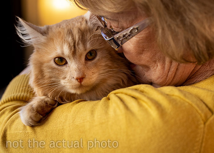 Siblings Wiped From Mom’s Will After Failing To Visit Her, Pets To Inherit $2.8 Million Fortune Siblings Wiped From Mom’s Will After Failing To Visit Her, Pets To Inherit $2.8 Million Fortune