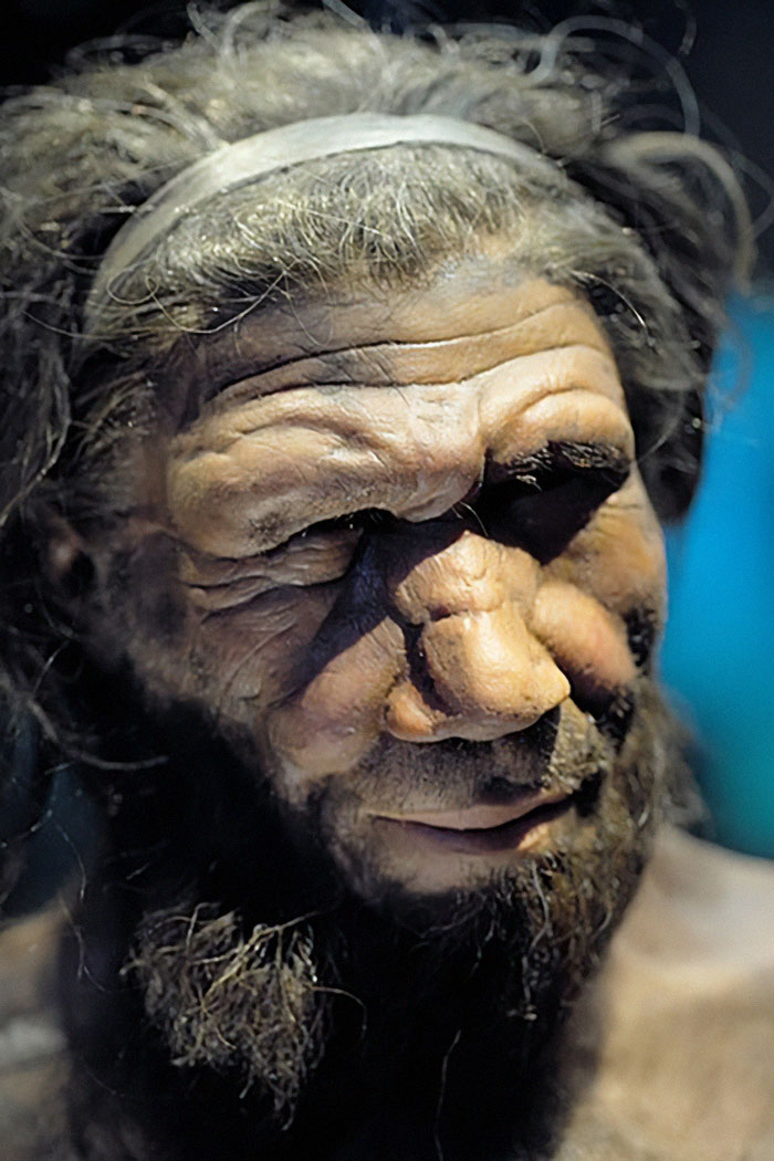 6 Traits That Indicate That You May Have Neanderthal DNA, According To Genetic Engineer
