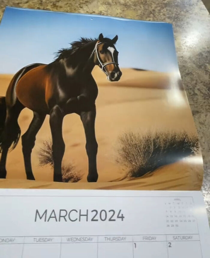 Esta mujer se compró un calendario con fotos de caballos, pero resultó ser demasiado extraño