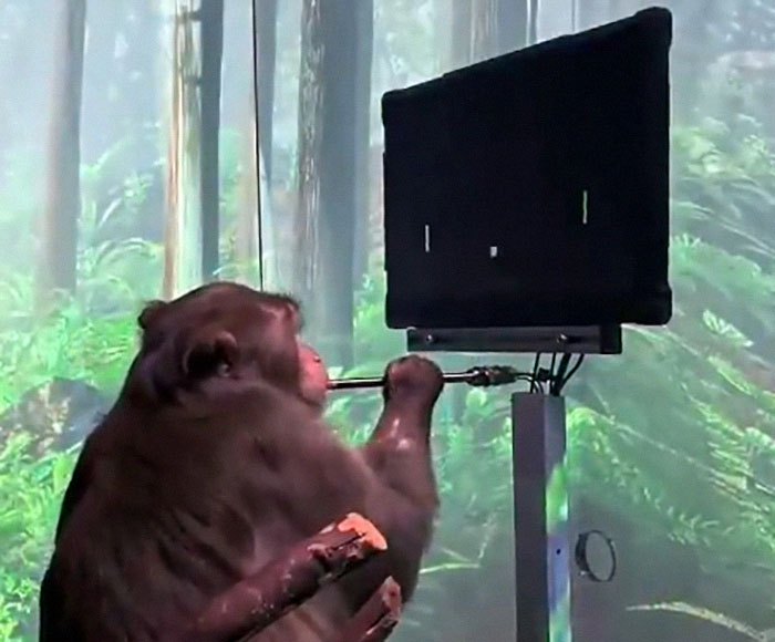 “That Is The Goal”: Elon Musk’s Neuralink Is Implanted In First-Ever Human “That Is The Goal”: Elon Musk’s Neuralink Is Implanted In First-Ever Human