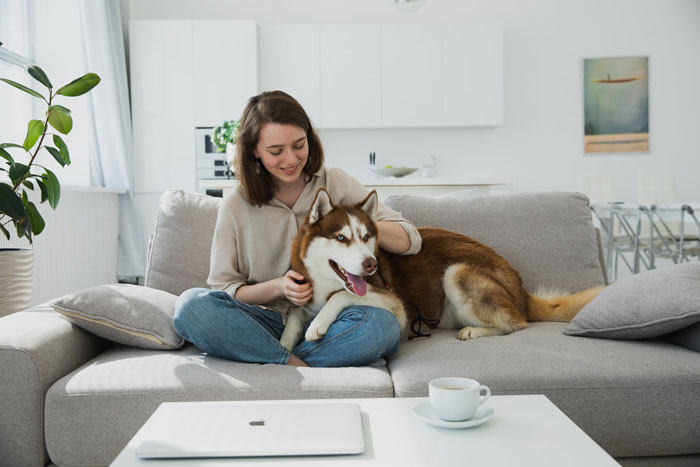 “I Dropped My MIL’s Dog Off As A Stray At A Shelter, And I Don’t Feel Bad”