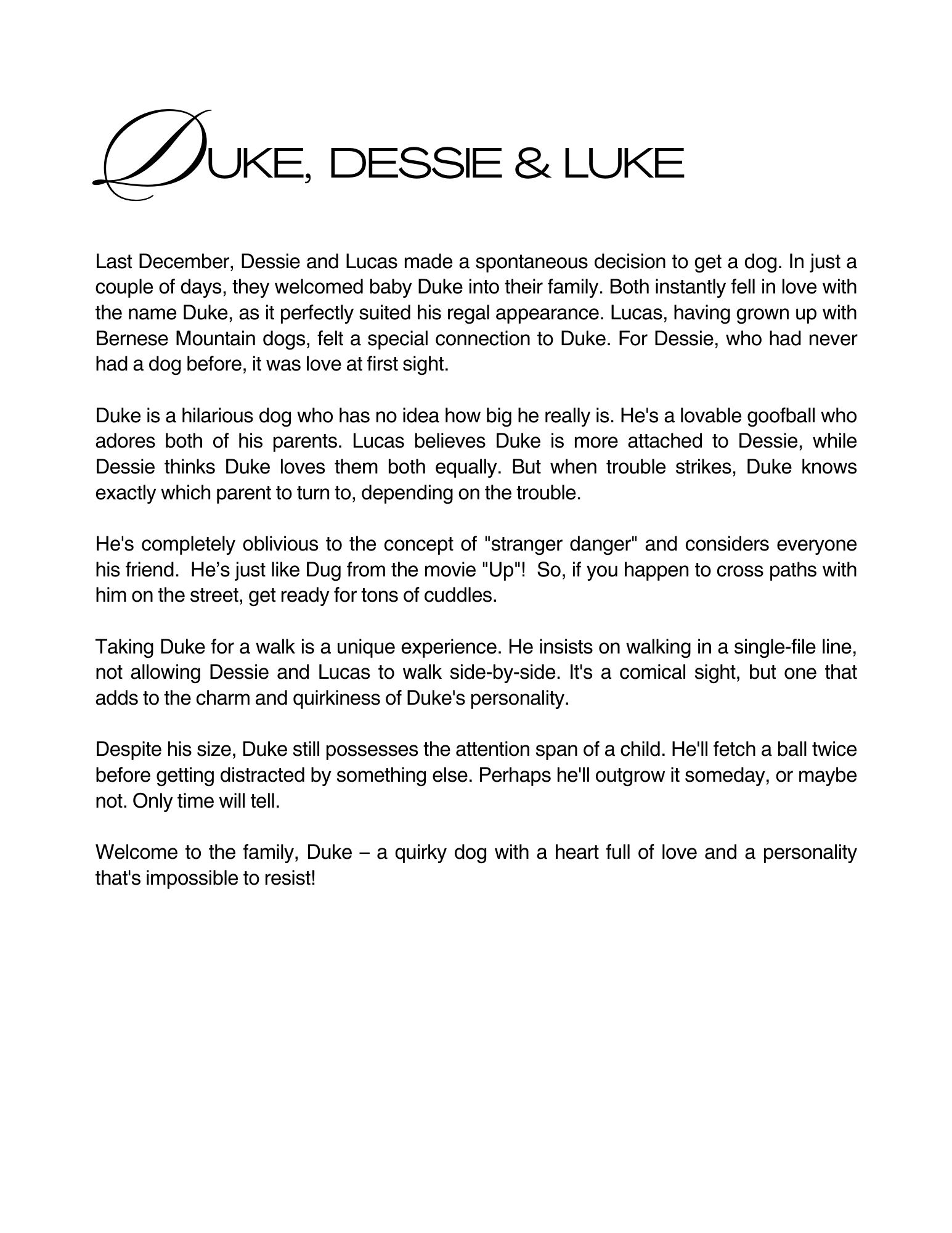 Celebrating Dogs & Their Humans