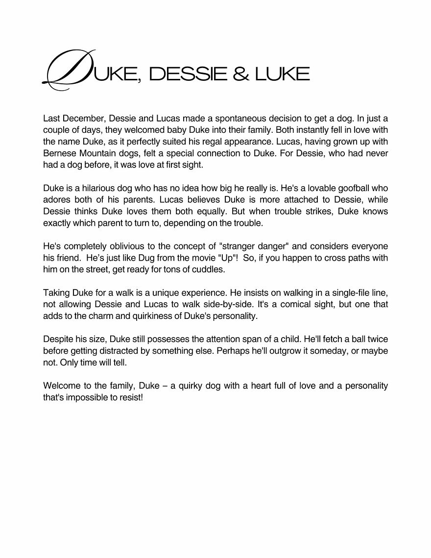 Celebrating Dogs & Their Humans