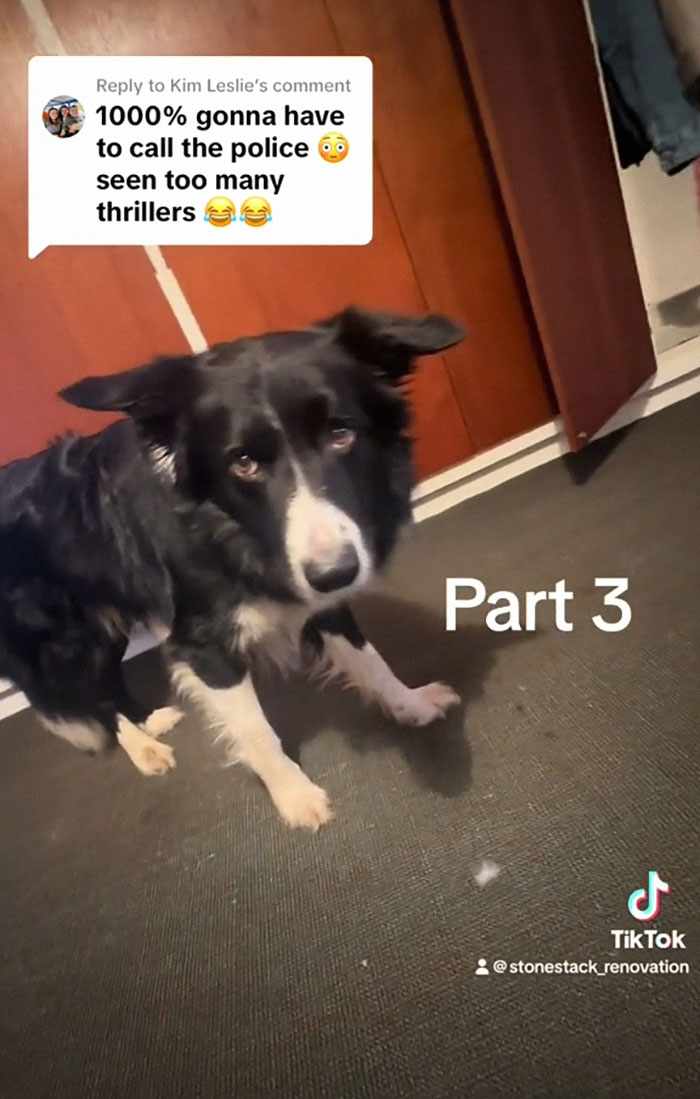 Internet Urges Couple To Leave Home After Finding Suitcase With Eerie Contents While Renovating Internet Urges Couple To Leave Home After Finding Suitcase With Eerie Contents While Renovating