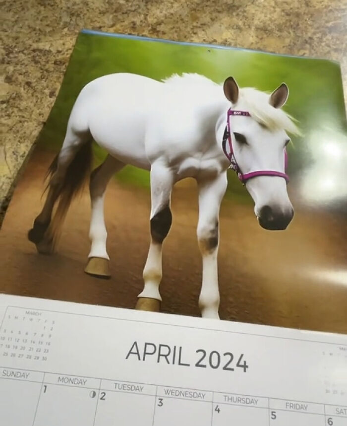 Woman Thinks She Bought A Simple Horse Calendar, Starts Noticing Odd Things Pop Up Woman Thinks She Bought A Simple Horse Calendar, Starts Noticing Odd Things Pop Up