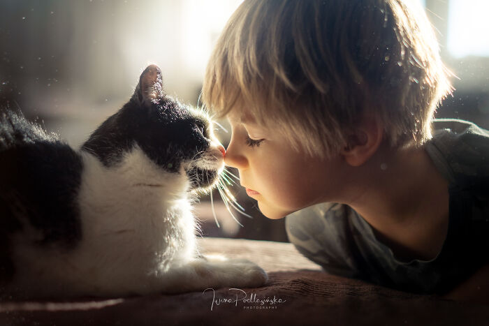 My Son And Our Cat
