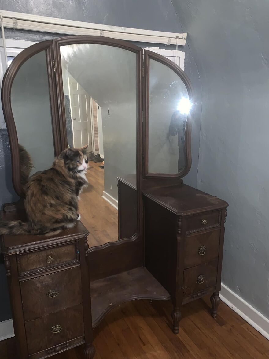 Heirloom Vanity Left By My Grandmother. We Knew It Was Old But Never Considered How Old. The Slip Came From Behind One Of The Mirrors. Edit: Wow! I Didn’t Expect This To Get The Attention It Did. Thank You All So So Much! It Has A Few Knicks And Imperfections But I Love It And Am So Happy That Others Do Too 🥰 Kitty’s Name Is Khaleesi And She Wasted No Time Claiming The Vanity For Her Own. She Is, In Fact, The Queen Of The House After All