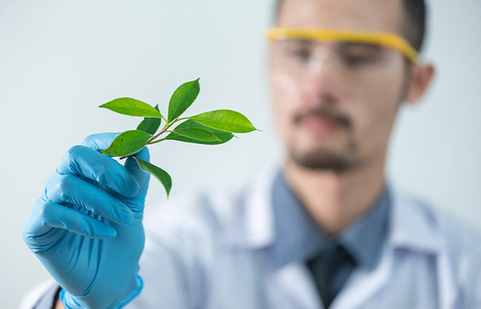 “Amazing” Video Of Plants Talking Has Social Media Reconsidering How They Thought About Life “Amazing” Video Of Plants Talking Has Social Media Reconsidering How They Thought About Life