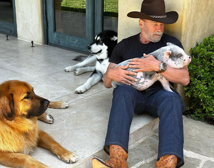 Arnold Schwarzenegger Displays His Love For His Pets With Instagram Photo Of Him Mouth-Feeding Pig