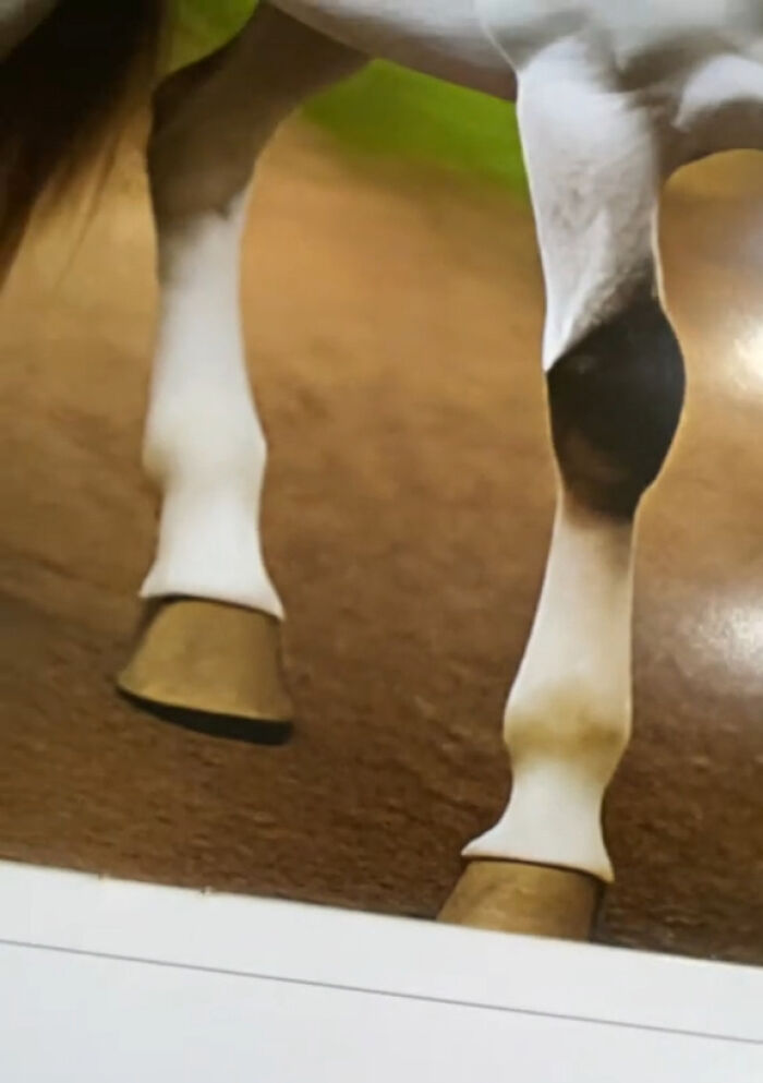 Woman Thinks She Bought A Simple Horse Calendar, Starts Noticing Odd Things Pop Up Woman Thinks She Bought A Simple Horse Calendar, Starts Noticing Odd Things Pop Up