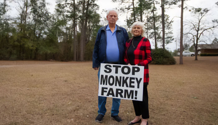 “What If One Gets Out?“: Residents Of Georgia Town Rally Against Farm To House 30,000 Monkeys “What If One Gets Out?“: Residents Of Georgia Town Rally Against Farm To House 30,000 Monkeys