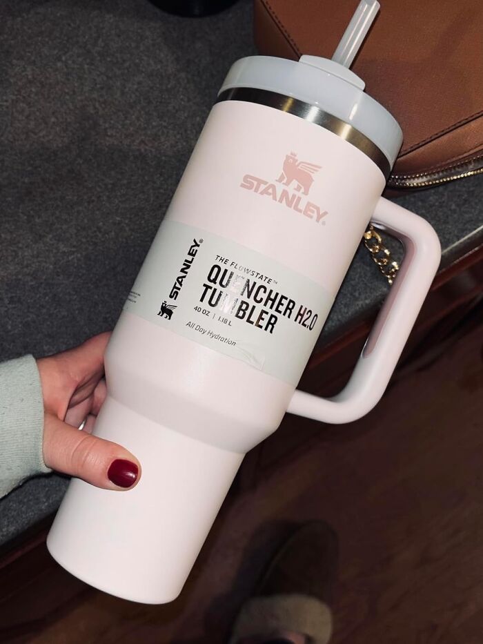 Get Ready To Turn The Tide On Tepid Drinks! With The Stanley Quencher H2.0 In Hand, It's 'Stainless' Good Times From Here On Out