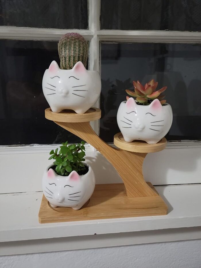 She Loves Plants. She Adores Cats. You Love Smart Gifting. Combine All Three This V-Day With Some Paw-Some Cat Shaped Ceramic Pots 
