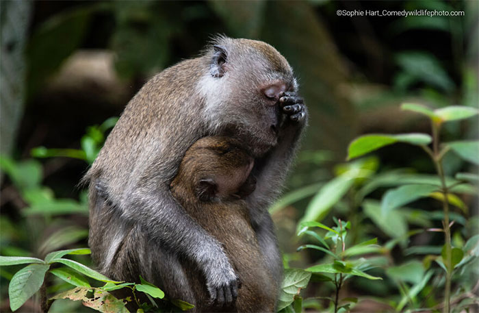 Vida de madre (2022)