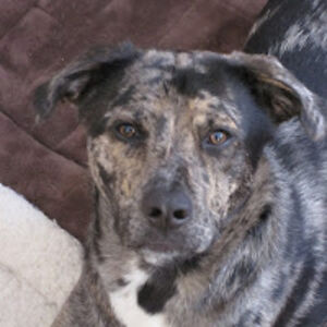 thomasradziewicz avatar