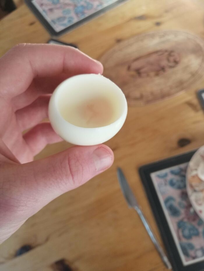 Found A Hollow Egg