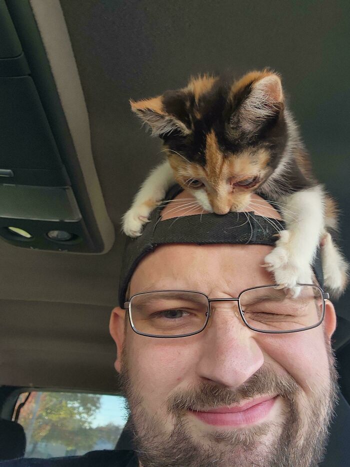 She Was Supposed To Get Her Eye Taken Out, But The Surgeon Saved Her Eye. She Came Out Of Anesthesia, Broke Out Of Her Carrier, And Made It An Awkward Ride Home