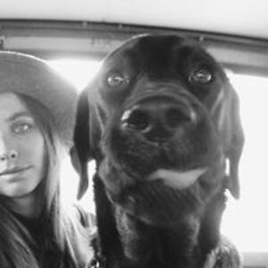 wherehaveallthedodosgone avatar