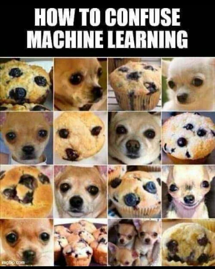 How To Confuse The Machine Learning