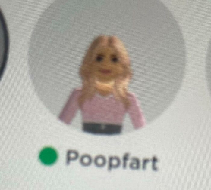 My 8-Year-Old Niece Changed Her Roblox Display Name To "Poopfart" And Couldn’t Change It
