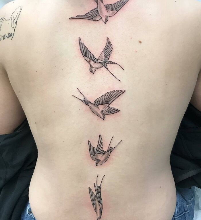 Five diving swallows tattoo on spine