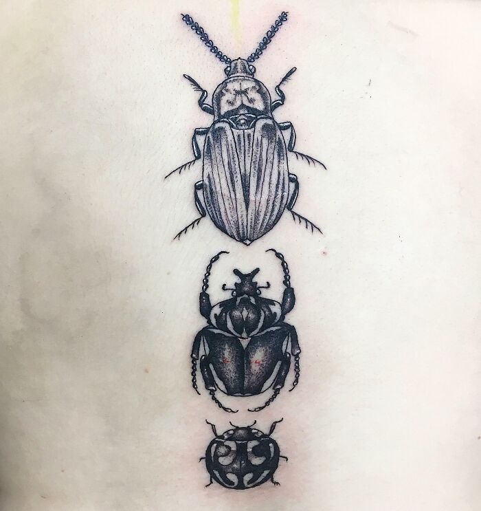 Three beetles tattoo on back
