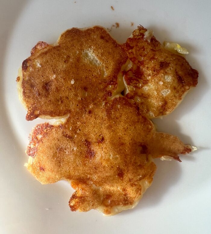 My 5-Year-Old Refused To Eat His Fritter Because “It Looks Like A Baby Dragon”. He Wanted Me To Take A Photo And Share It With The World, So Here You Go