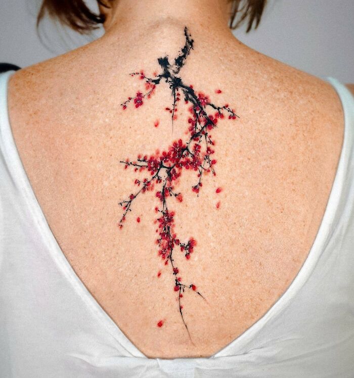 Red plum blossom branch tattoo on back