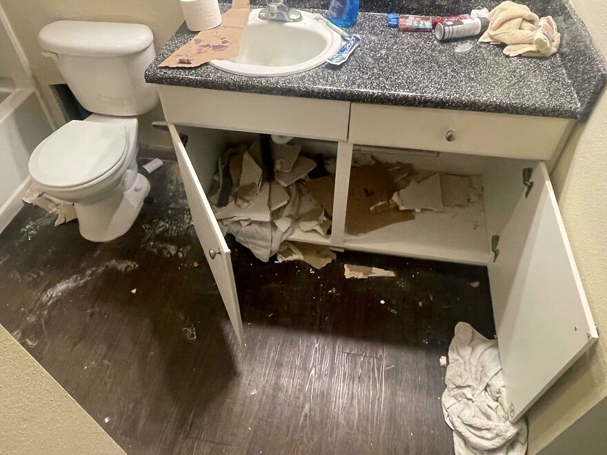 I Just Got Back To My Apartment After Winter Break And Found My Bathroom Trashed