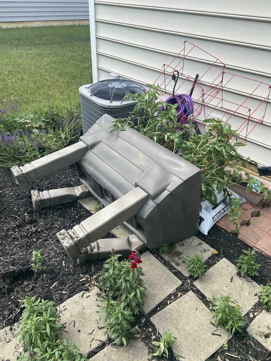 My Tomatoes Look Like A Felled At-At