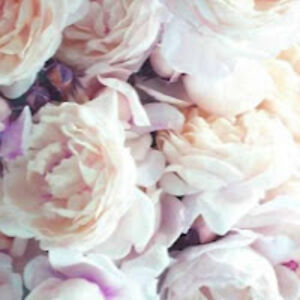 designlife4medesignlife4me avatar