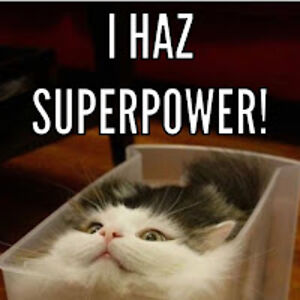 alicekleweno-hughes avatar