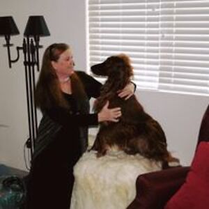 annehallsullivan avatar