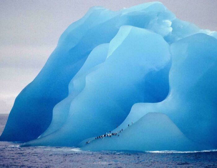 The Colors Of This Iceberg Are So Magical