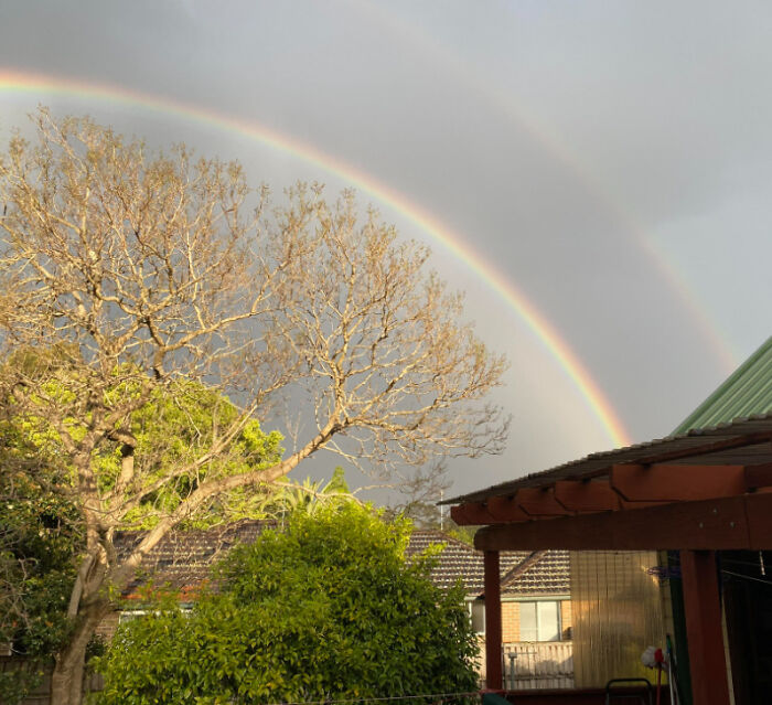 A Spectrum In My Backyard