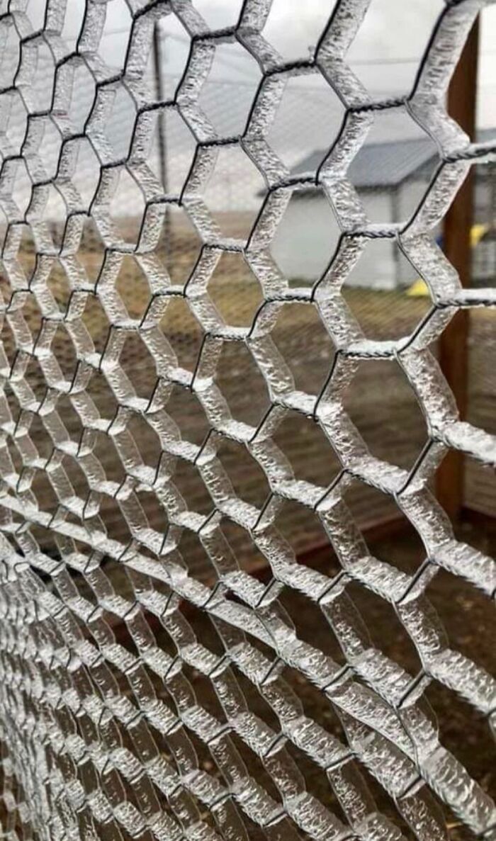 The Way This Ice Froze To This Fence