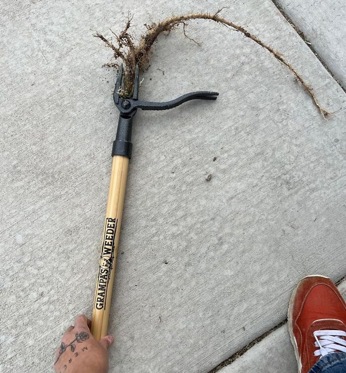 Greeting Gardeners And Weed Warriors Alike—give Your Knees And Back The Day Off Because Grampa's Weeder Is Taking The 'Ow' Out Of Your Weeding Pow-Wow
