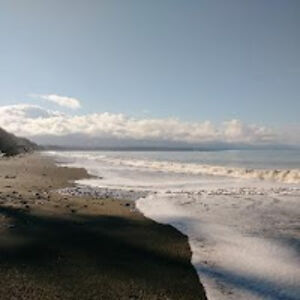 rebeccaarriaga avatar