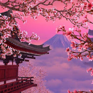 anabelmoronta avatar