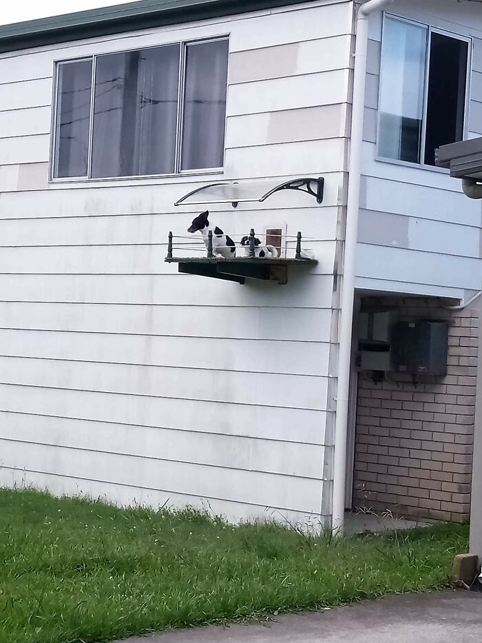 Their Own Little Balcony 