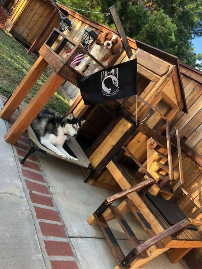I Was Recommended To Share My Doggy House With This Community! I Hope It Makes The Cut!